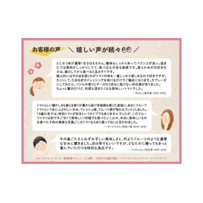 〈2026年1月より発送〉【3回定期便】アルテトマト 約800g(10‐16玉)×3箱