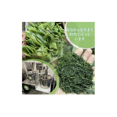 クラフトビール【緑茶ヘイジー (濁り)】330ml×3本