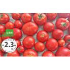 <2026年1月頃から発送>5回定期便【訳あり】佐川町産トマト約2.3kg×5ヶ月 織田トマト 