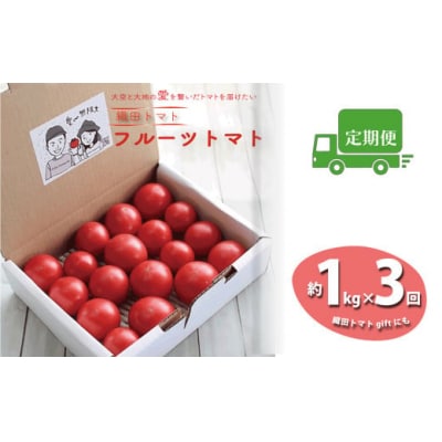 <2026年1月頃～発送>【3回定期便】フルーツトマト 1kg×3回『合計3kg』 織田トマト 