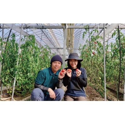 <2026年1月頃～発送>【3回定期便】フルーツトマト 1kg×3回『合計3kg』 織田トマト 