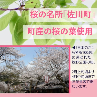 クラフトビール【さくらエール】330ml×3本 オリジナルビール