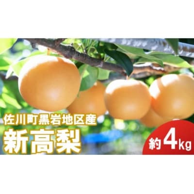 <2025年秋発送>≪秀品≫ 新高梨 約4㎏ (4～6玉)