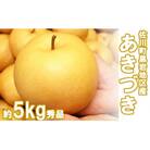 <2025年9月中旬より発送予定>あきづき梨(約5kg/8～12玉)
