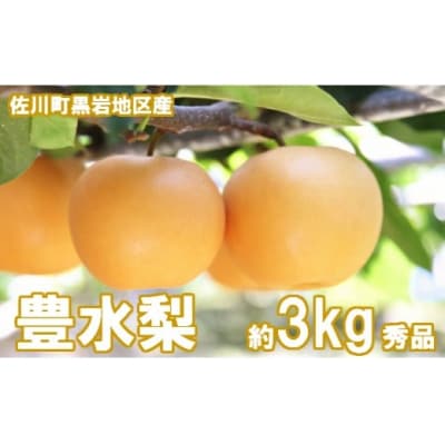<2026年秋発送>　豊水梨(約3kg/4～7玉)