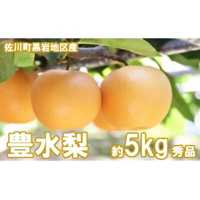 <2025年秋発送>豊水梨(約5kg/8～12玉)