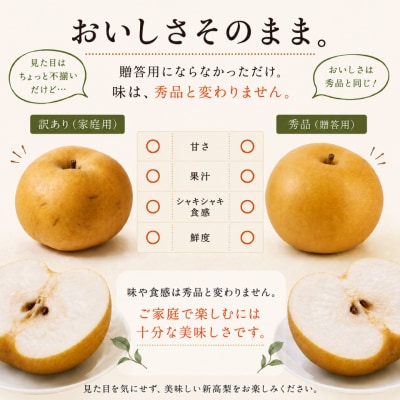 <2026年秋発送先行受付中!> ≪訳あり品(変形 キズあり)≫　新高梨 4～6玉 (約 4kg)