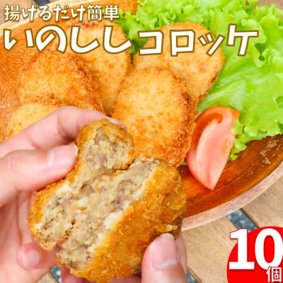 いのししコロッケ 10個 | ふるさと納税のお礼品