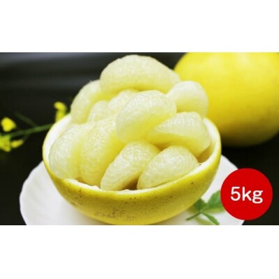 土佐文旦 【5kg】佐川町産 サイズ混合