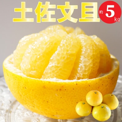 土佐文旦 【5kg】佐川町産 サイズ混合
