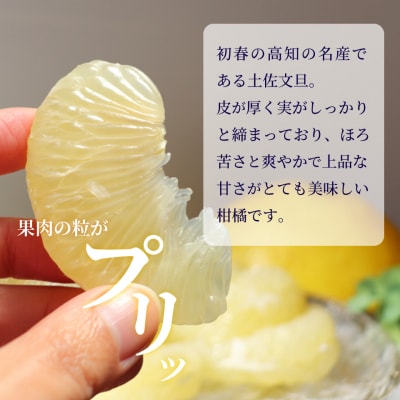 土佐文旦 【5kg】佐川町産 サイズ混合