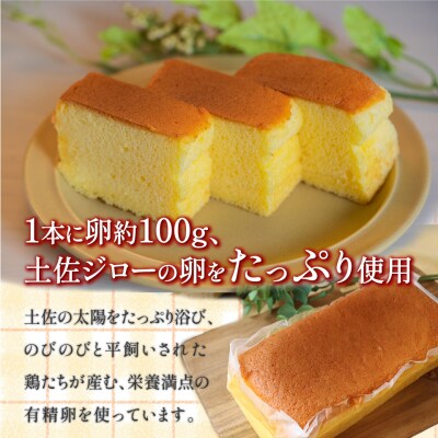 <シフォンケーキ 3本> 土佐ジローの卵100%使用