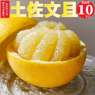 佐川町産 土佐文旦(家庭用)10kg【数量限定】