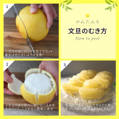 佐川町産 土佐文旦(家庭用)10kg【数量限定】