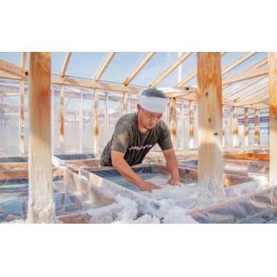 さかわの地乳×田野屋塩二郎の塩アイス6個 振り塩して食べるアイス