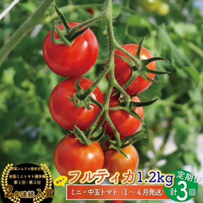 【2027年1月～4月頃発送】<約1.2kg×3回定期便>訳あり フルティカアイメックトマト 