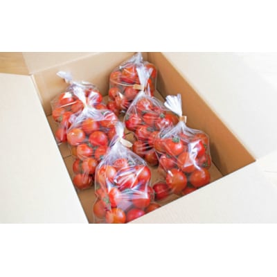 【2027年1月～4月発送】<約2.4kg×3回 定期便> 訳あり フルティカアイメックトマト