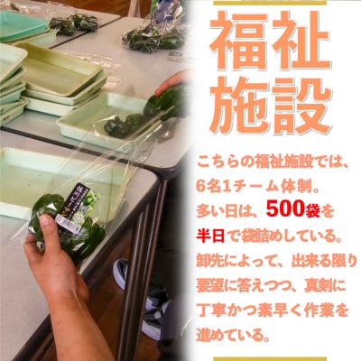 <2026年5月下旬以降発送>事前受付中!!<ピーマン>1kg さらら 農副連携