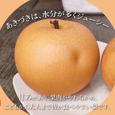 訳あり 規格外 あきづき梨 3kg(4～7玉)