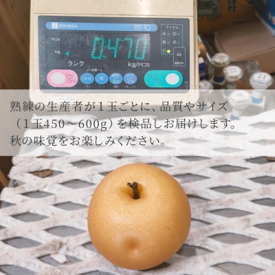 訳あり 規格外 あきづき梨 3kg(4～7玉)