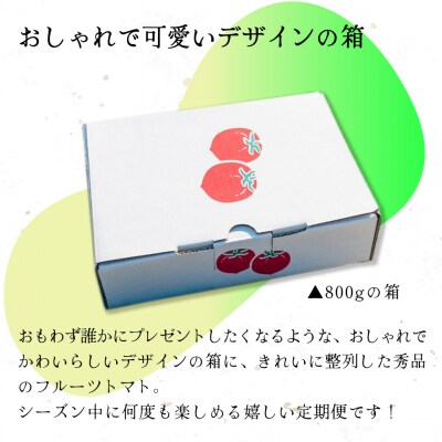 〈2026年12月下旬～順次発送〉【3回定期便】フルーツトマト 原田農園 約800g 小箱