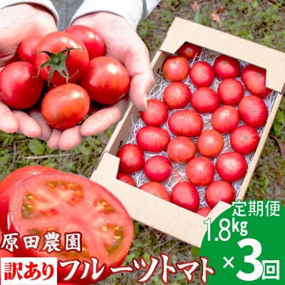 〈2026年12月下旬～順次発送〉【3回定期便】 訳あり フルーツトマト 原田農園 1.8kg 