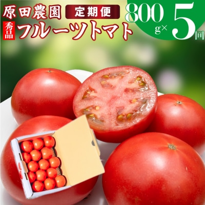 〈2025年12月下旬～順次発送〉【5回定期便】フルーツトマト 原田農園 約800g 小箱 