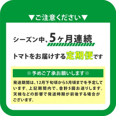 【5回定期便】フルーツトマト 原田農園 約1,800g 大箱(12月下旬～5月頃発送)
