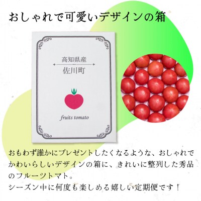 【5回定期便】フルーツトマト 原田農園 約1,800g 大箱(12月下旬～5月頃発送)