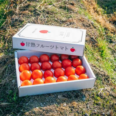 【5回定期便】フルーツトマト 原田農園 約1,800g 大箱(12月下旬～5月頃発送)