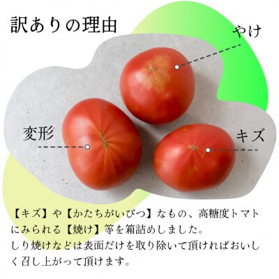 〈2026年12月下旬～順次発送〉【5回定期便】 訳ありフルーツトマト 原田農園 1.6kg