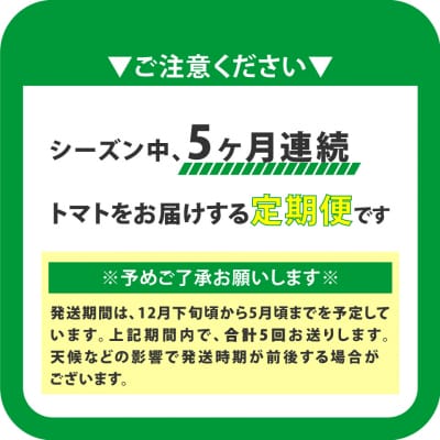 〈2026年12月下旬～順次発送〉【5回定期便】 訳ありフルーツトマト 原田農園 1.8kg