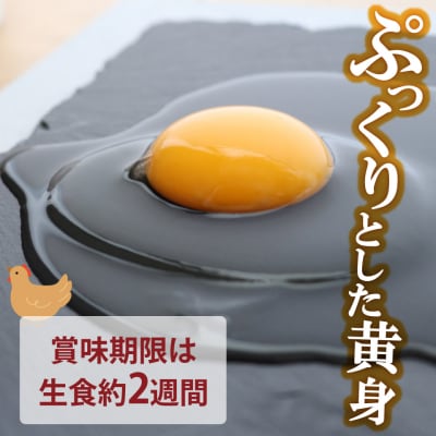 土佐ジローの卵(36個入り)