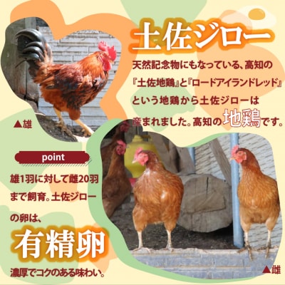 土佐ジローの卵25個×3ヶ月連続 定期便 <10月～6月の間に発送>