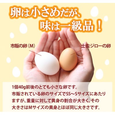 土佐ジローの卵25個×3ヶ月連続 定期便 <10月～6月の間に発送>