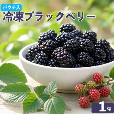 <冷凍ブラックベリー約1kg>秀品 国産 MIYAMOTO FARM