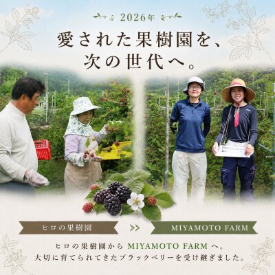 <冷凍ブラックベリー約1kg>秀品 国産 MIYAMOTO FARM