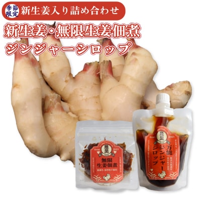 <2026年11月下旬～12月上旬頃発送>【新生姜1kg・佃煮1袋・シロップ1個】ごはんのお供(C)