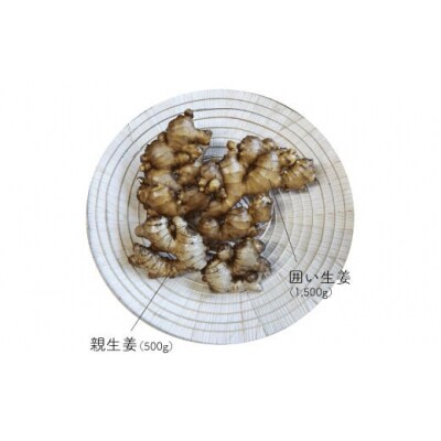 ましまファームの囲い生姜&親生姜食べ比べセット計2kg