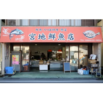 高知名物うつぼのたたき(約400g)薬味・特製にんにく味噌たれ付　【冷蔵】