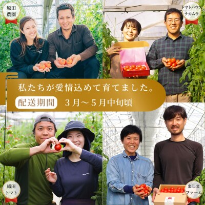 【フルーツトマト計4回定期便】 佐川町産フルーツトマトリレー