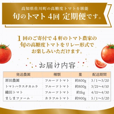 【フルーツトマト計4回定期便】 佐川町産フルーツトマトリレー