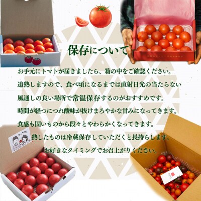 【フルーツトマト計4回定期便】 佐川町産フルーツトマトリレー