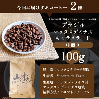 【中挽き】スペシャルティ珈琲豆(飲み比べセット) ブラジル インドネシア