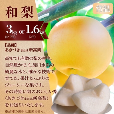 (全3回)フルーツ定期便　焼き栗　梨　苺
