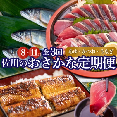 <2026年鮎から発送>年3回【さかわのお魚定期便(配送月:8月～11月)】うなぎ 鰹のタタキ 鮎