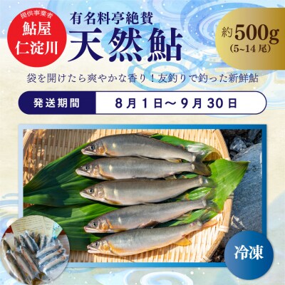 <2026年鮎から発送>年3回【さかわのお魚定期便(配送月:8月～11月)】うなぎ 鰹のタタキ 鮎