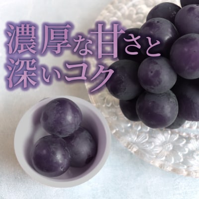 <2026年8月上旬以降にお届け>事前受付中!佐川町産藤稔 約1.2㎏