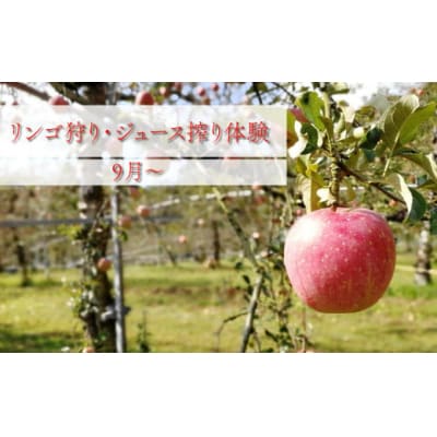 <りんご狩り> りんご収穫体験 + 生ジュース搾り体験 土本観光果樹園 お土産付