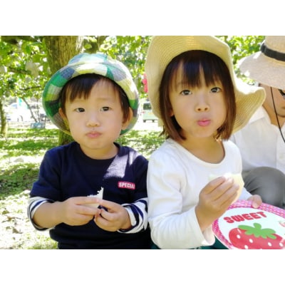 <梨狩り> ナシ収穫体験 + 生ジュース搾り体験 土本観光果樹園 お土産付